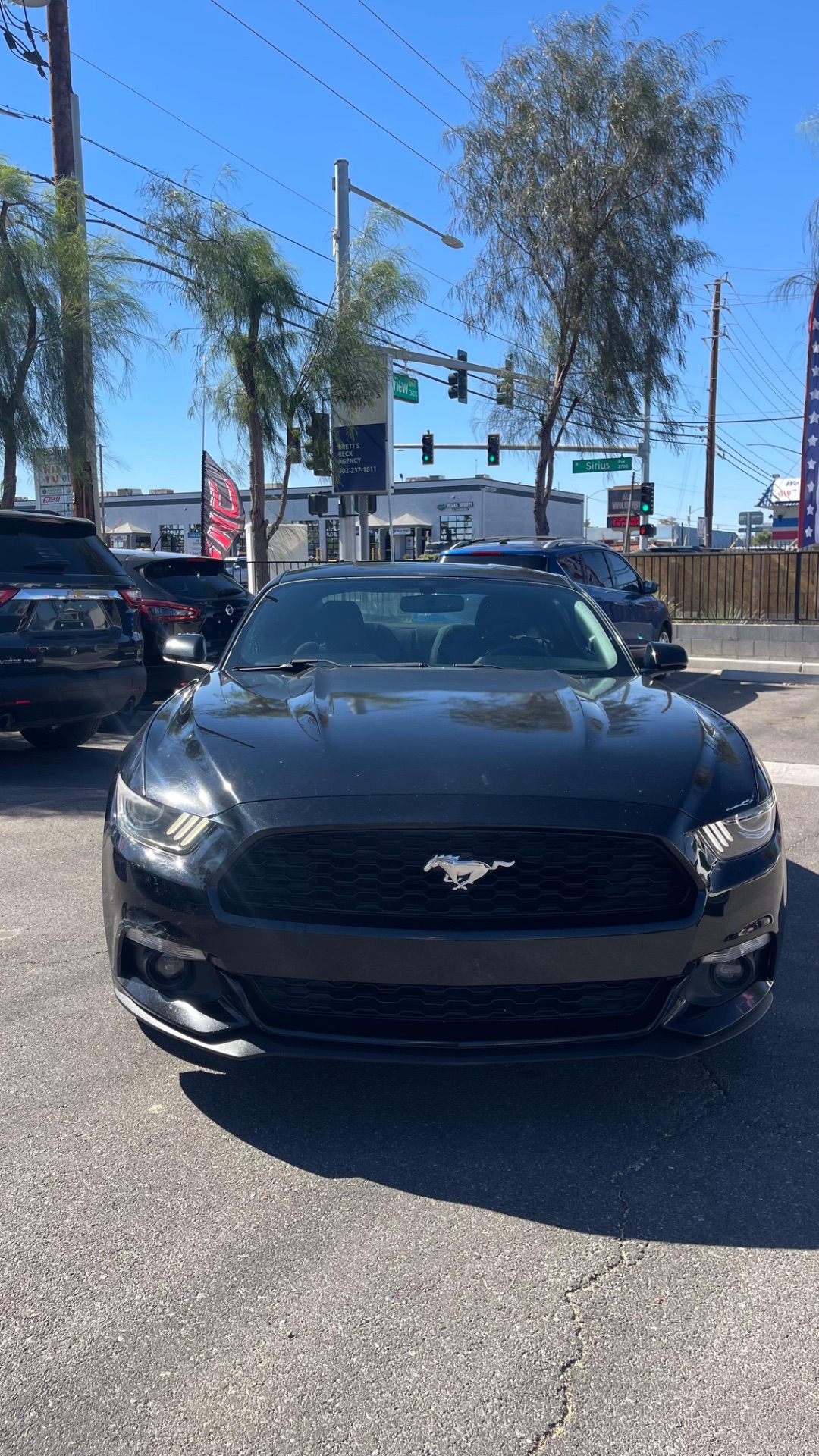 2015 Ford Mustang EcoBoost thumbnail 6