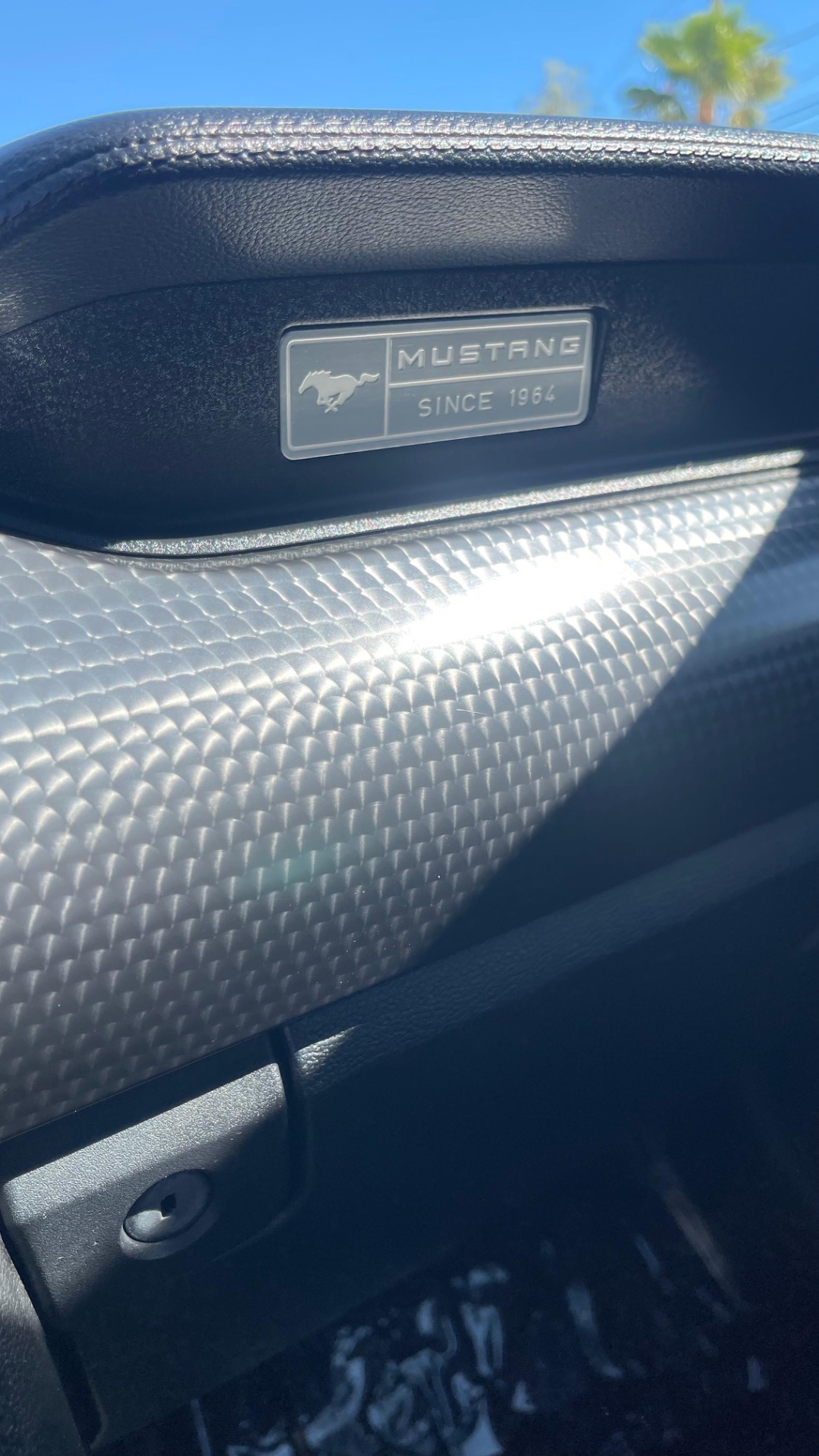 2015 Ford Mustang EcoBoost thumbnail 8